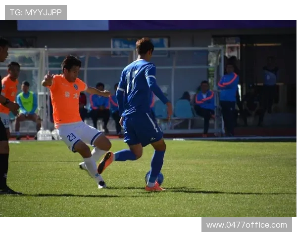 丽江飞虎迎战保定队期待精彩对决与球迷激情共鸣