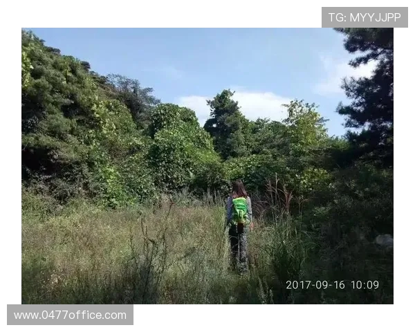 广州攀岩队中路突破的背后故事与未来发展展望